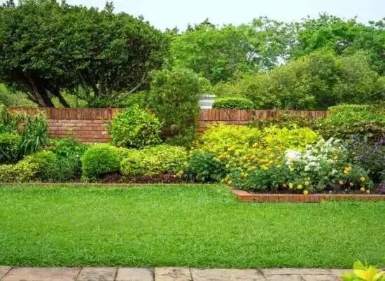 landscaping services San Jose